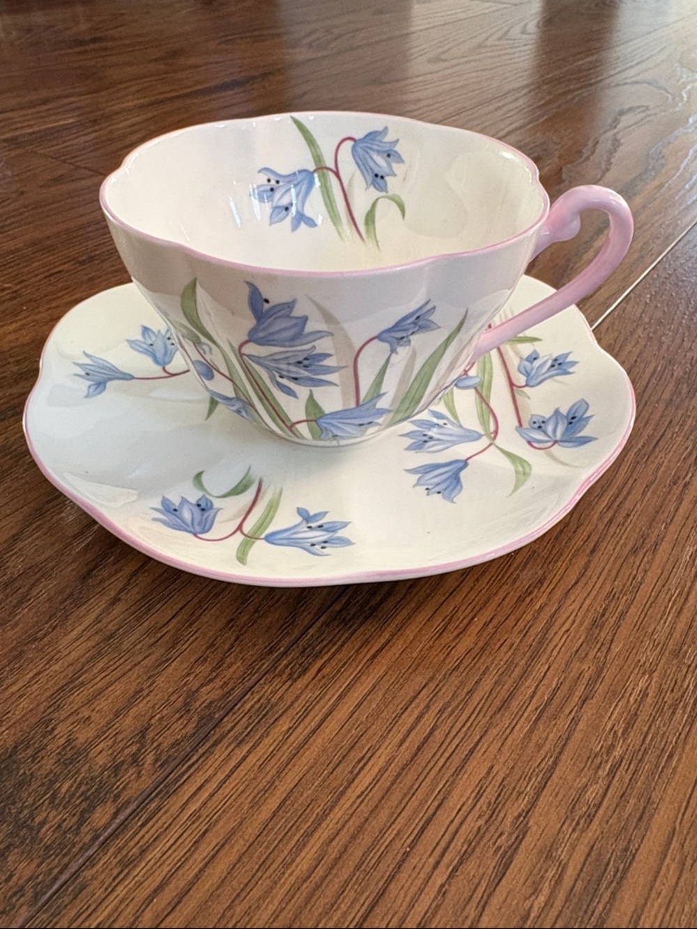 Shelley Fine Bone China Teacup and Saucer - Blue Flower Design with Pink Trim